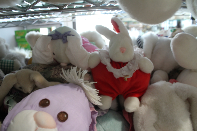 Illustration for article titled Happy Easter! Stef And Puff's Trip To The Bunny Museum